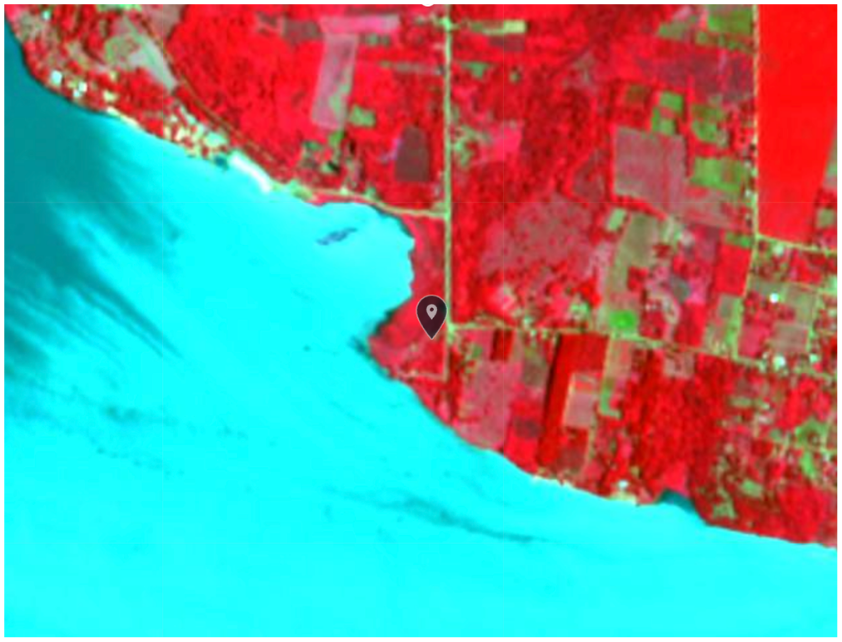 Color Infrared — Site Charlie, 04 Jan 2025