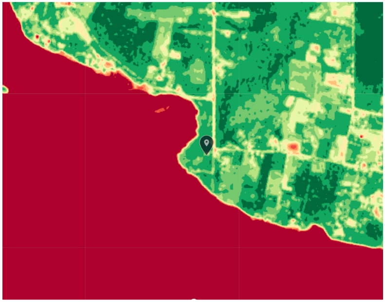 NDVI — Site Charlie, 04 Jan 2025